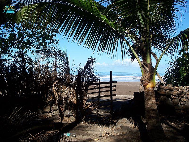 800px-Anjarle_beach_in_Konkan_near_Dapoli_,_Maharashtra,India.jpg
