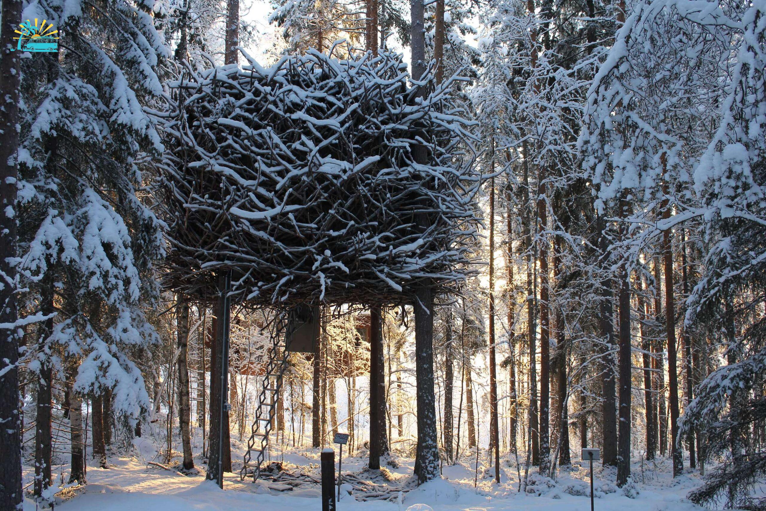 A beautiful view of Bird’s Nest Treehouse in Sweden covered in snow