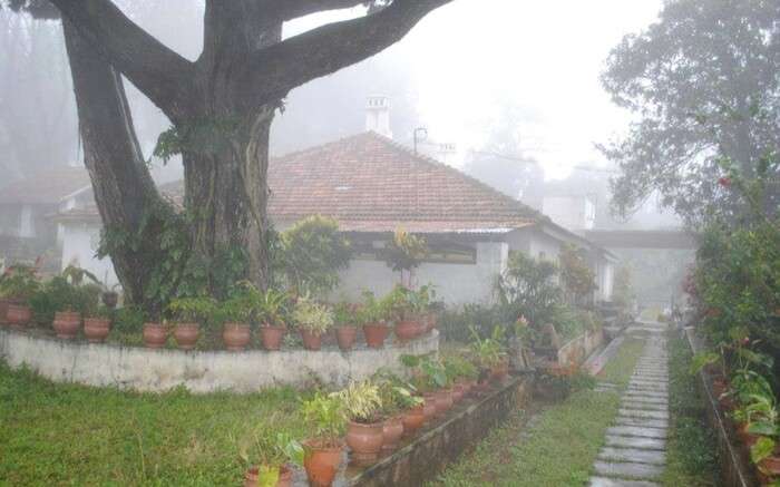 A view of Carlton House Homestay from the garden near in Yercaud in Tamil Nadu