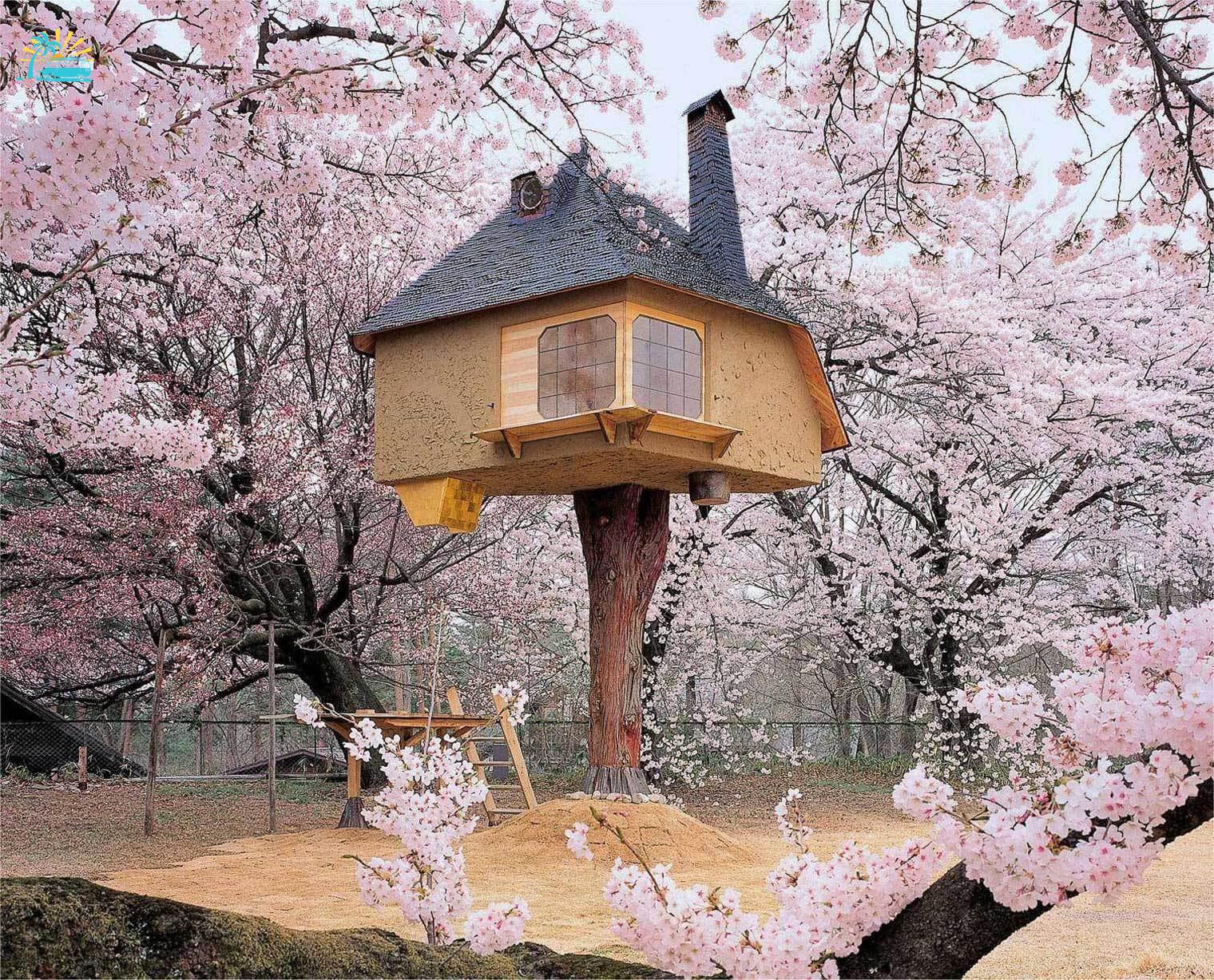 A view of Tetsu treehouse in Japan surrounded by cherry blossom
