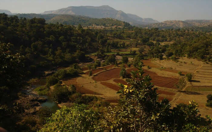 Aerial view of Purushwadi village in Maharashtra