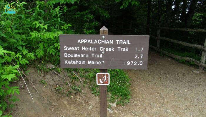 Appalachian-Trail_18th oct