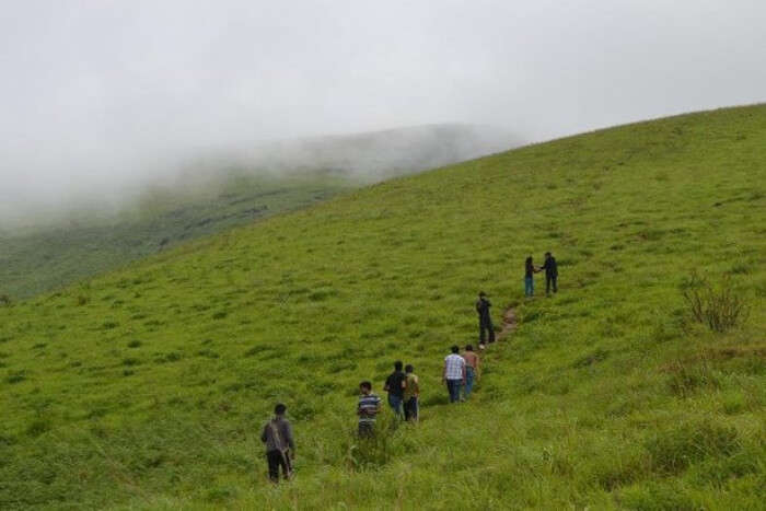 Brahmagiri Hills Trek