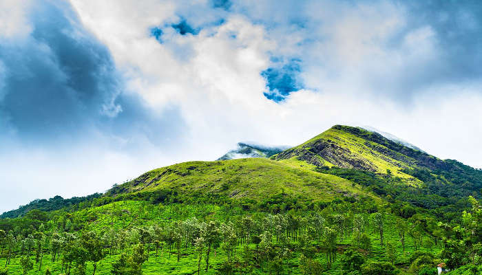 the Chembra Peak is one of the most sought after trekking destinations in Wayanad