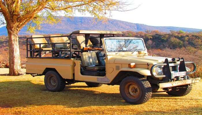 Opt For Jeep Safaris