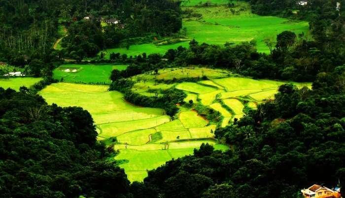 Coorg is one of the most pleasant and refreshing hill stations near Bangalore