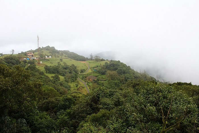 Mist blowing over Coorg