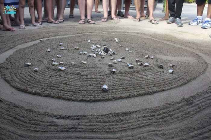 Crab racing is an important tourist attraction in Maldives