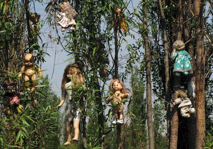 Dolls hanging from trees at the haunted Island of Dolls