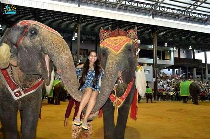Elephant show in pattaya