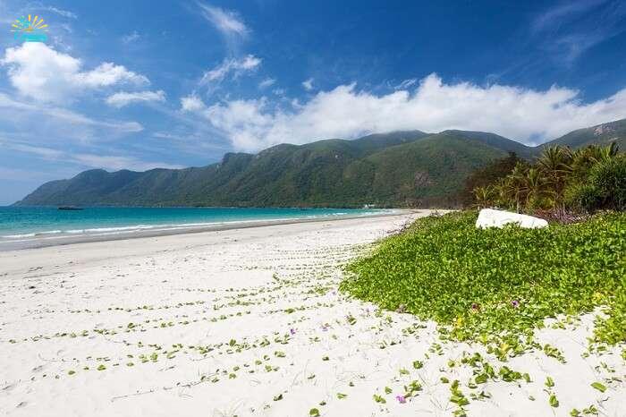Exotic beach with white sand and green flora on Con Dao Island in Vietnam