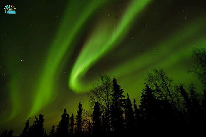 Experience The Northern lights