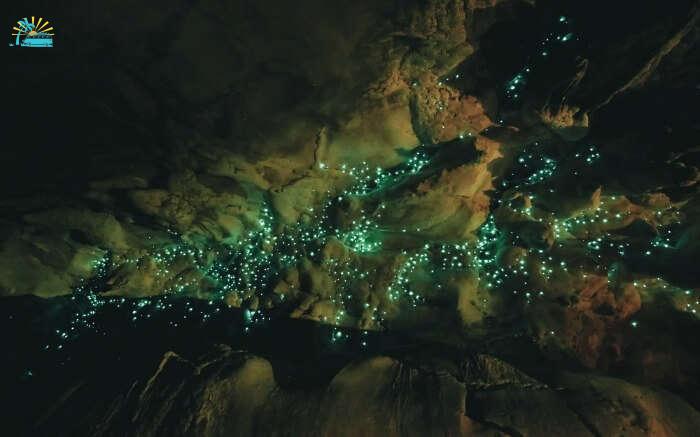 Glowworms inside the Waitomo Caves