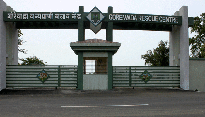 Gorewada International Zoo