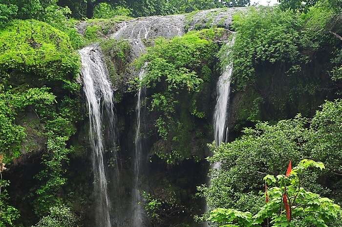Hathni waterfall  is 100 metres high and a serene picnic spot near Vadodara