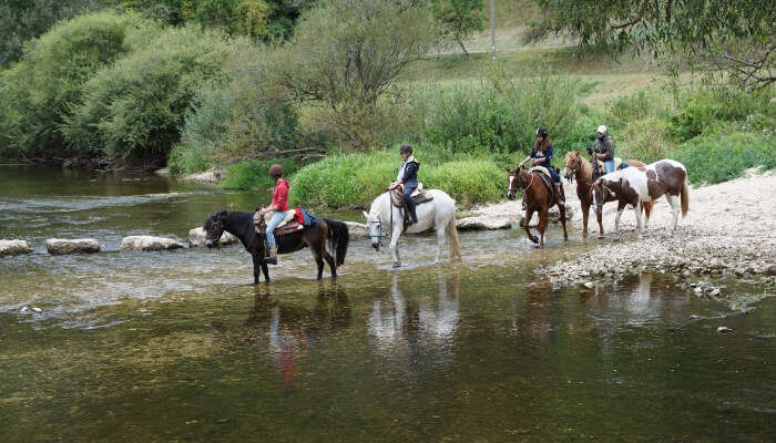 Some People Horse Riding Across a Stream