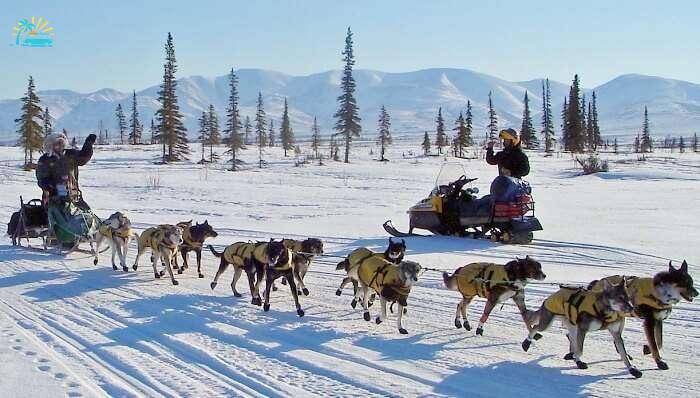 Iditarod_National_Historic_Trail_in_Alaska