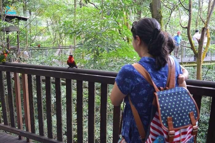 Jurong Bird Park in Malaysia
