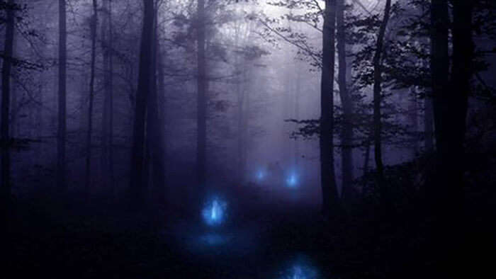 Mysterious glowing lights on the marshes in West Bengal