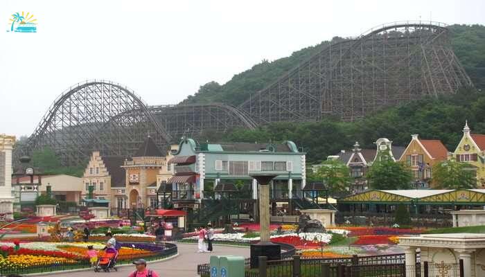 Ride The Wooden Roller Coaster