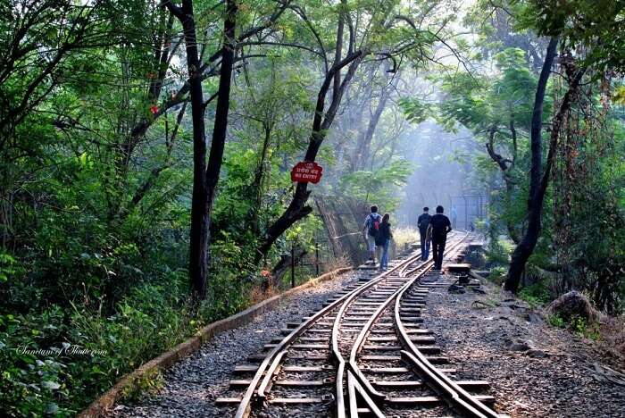 Students walk along the railway track passing through the Sanjay Gandhi National Park