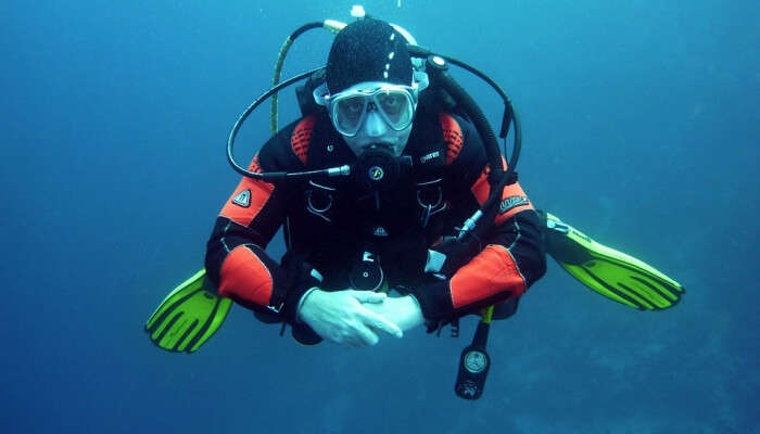 Scuba Diving In Water