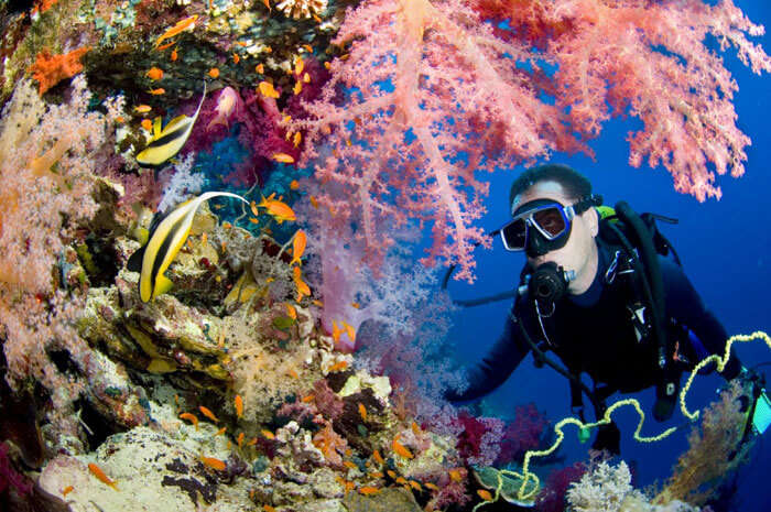 Colorful underwaters in Andaman