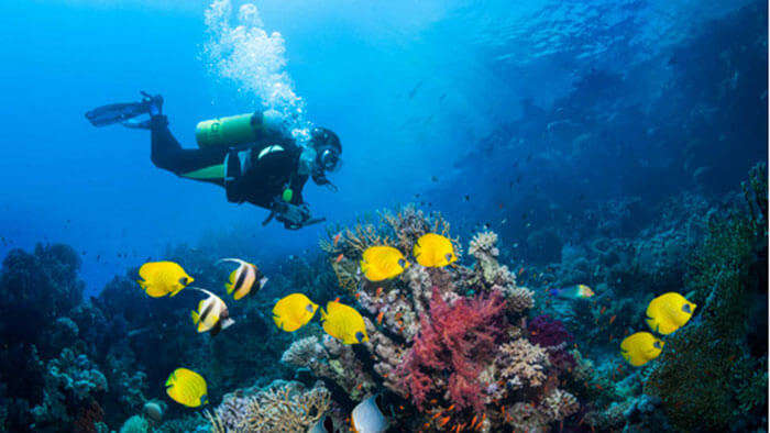 Scuba Diving in exquisite Goa