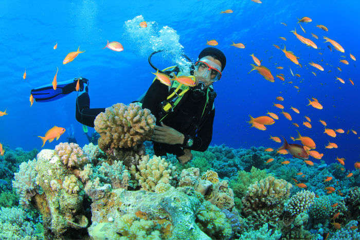 Scuba diving in coral Trakali