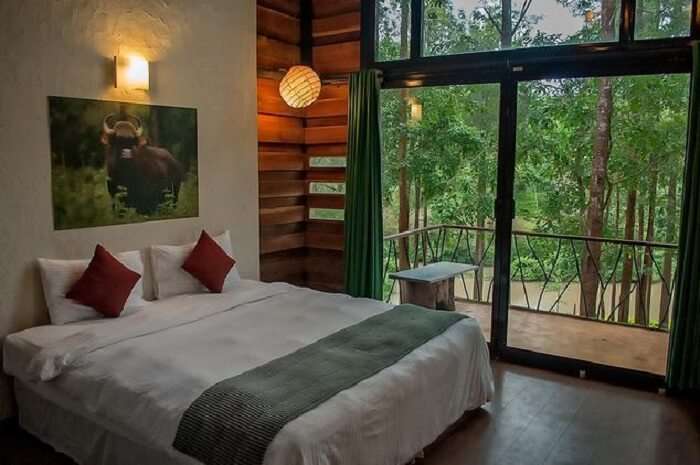 Simple décor, comfort, wholesome meals, safaris and treks you can enjoy