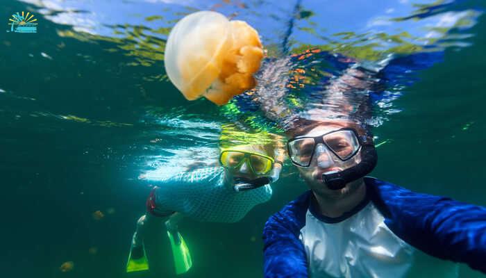 Swim With Jellyfish