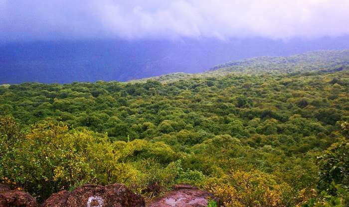 The colorful expanses of Connaught Peak which is one of the best tourist places in Mahabaleshwar