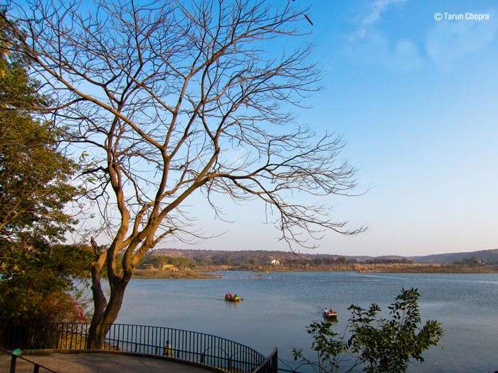 The expanse of Damdama Lake in Haryana