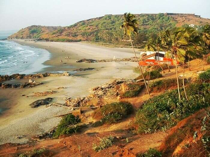 The most famous beach of Goa known for Sunburn