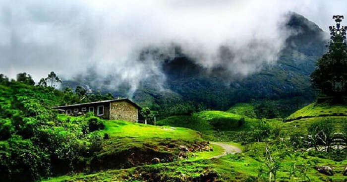 Thekkady is the best place to visit in Kerala