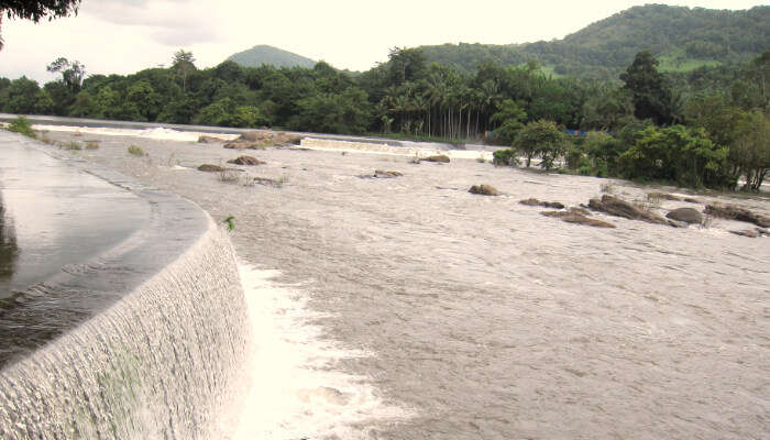 Thumboormuzhi Dam, Kerala