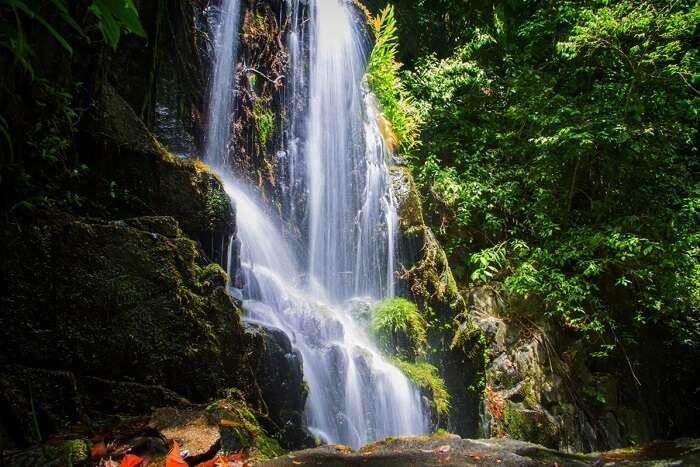take a dip at Tiger Falls, one of the best things to do in dehradun