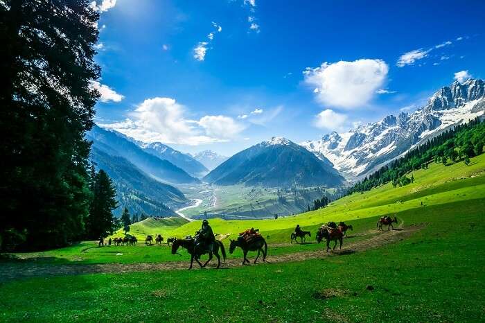 Tourists riding ponies in the valley of Sonamarg