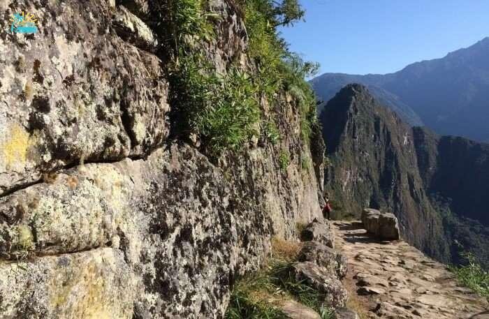 Trail Leading To Machu Picchu