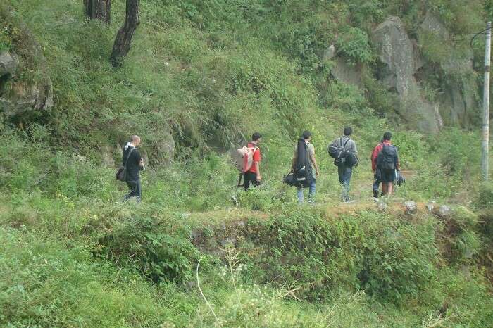 Trekkers take one of the trekking tours in Kasauli
