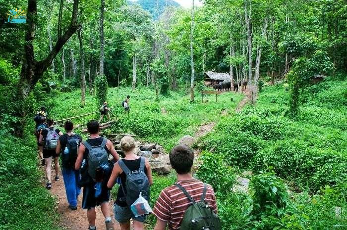 Trekking in Chiang Mai, for adventureous experience in Thailand