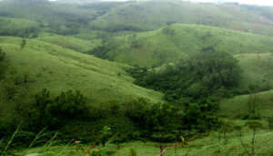 Vagamon is an idyllic summer vacation destination for families in India