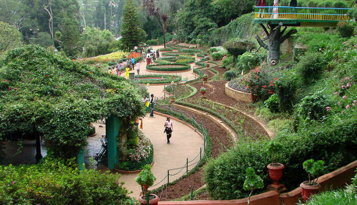 View of Ooty Botanical Garden