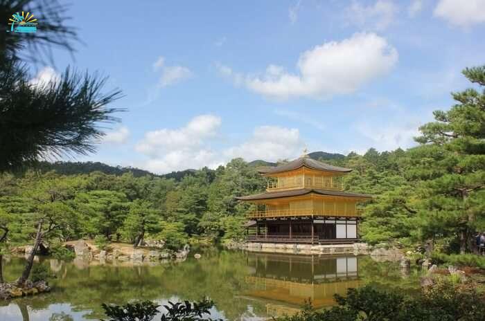 Visit the Rokuon-ji Temple