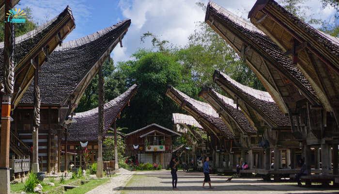 Witness Life And Afterlife Meet At Toraja