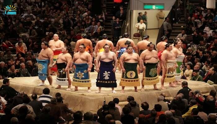 Witness Sumo Wrestling