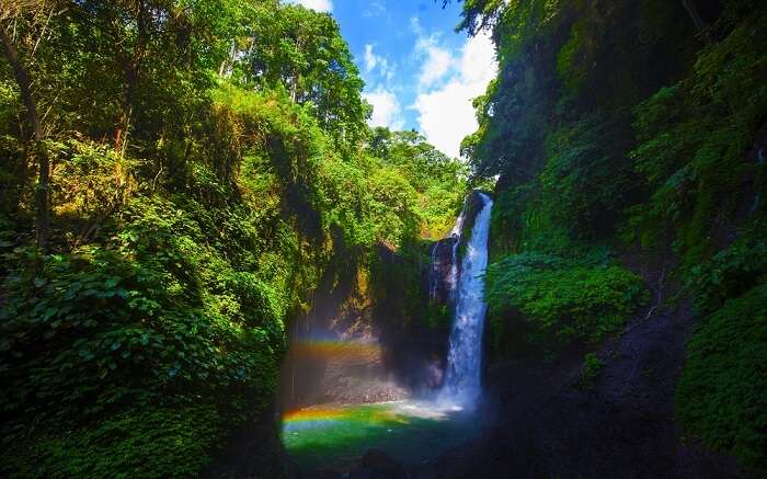 a rainbow waterfall amid forests