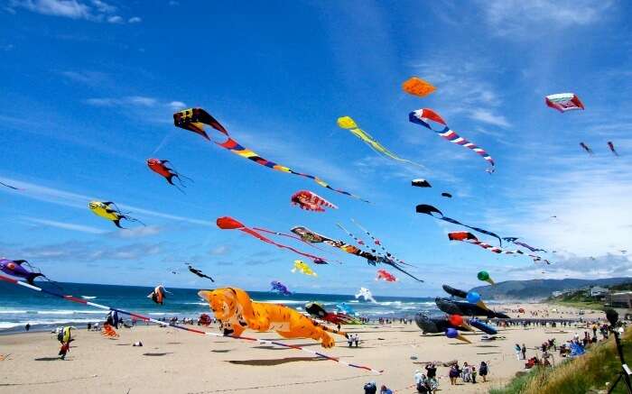 colourful kites in the sky during Makar Sankranti