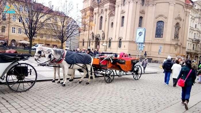 horse carriage in Prague