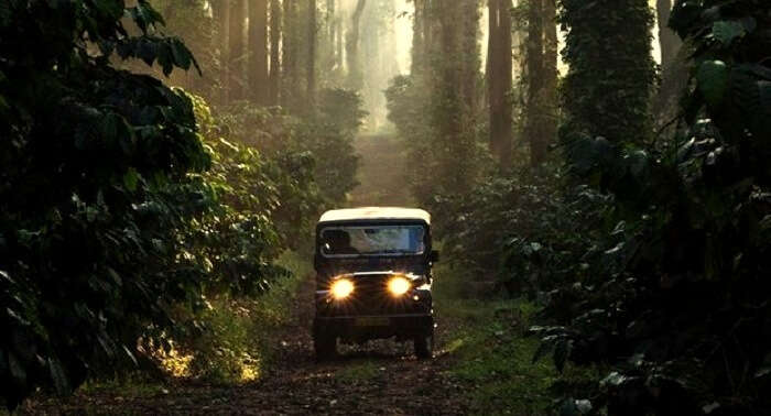 drive at sunset coorg